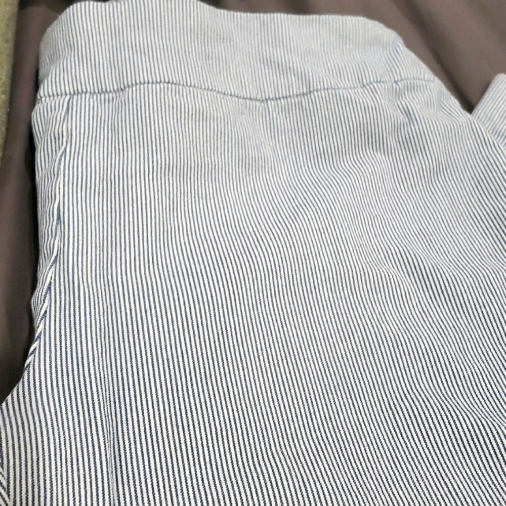 Chicos Crop pants